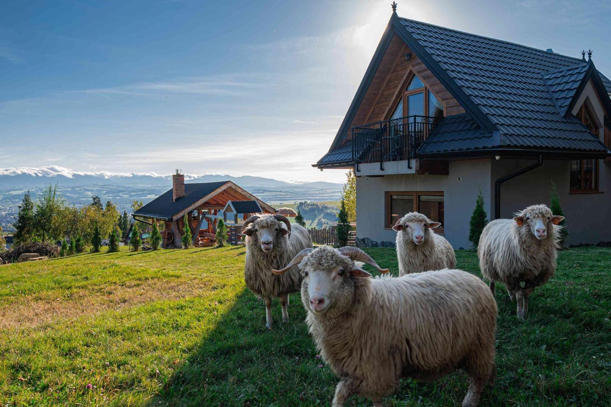 Lesne Zacisze Villa Nowy Targ Bagian luar foto